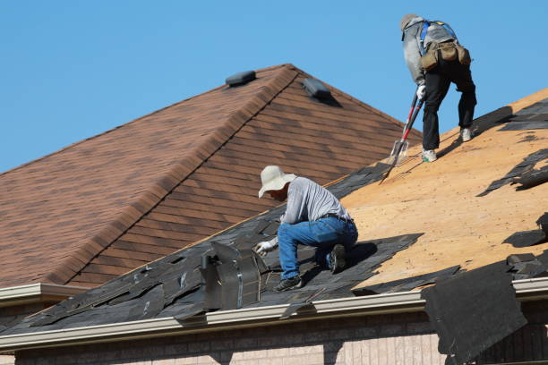 Best Skylight Installation and Repair  in Metropolis, IL